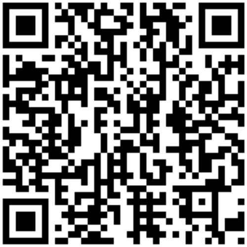 MAX QR-код